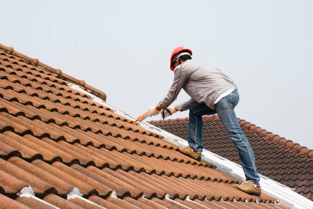 Best Wood Shake Roofing  in Dillsburg, PA